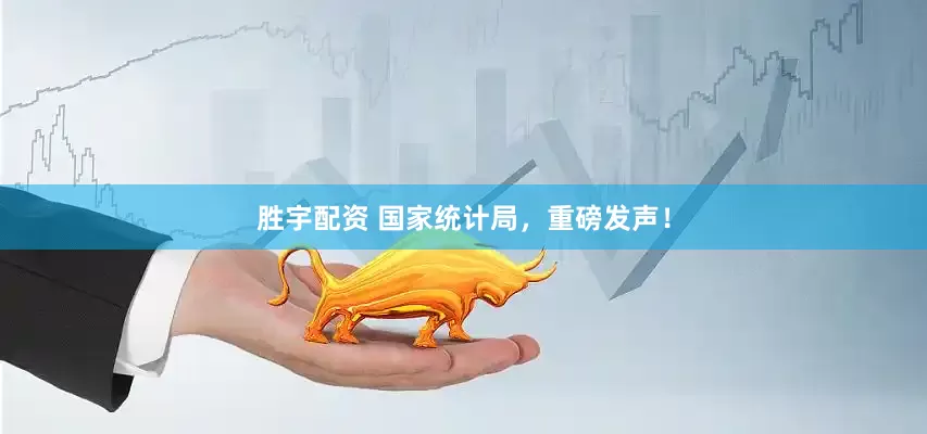 胜宇配资 国家统计局，重磅发声！