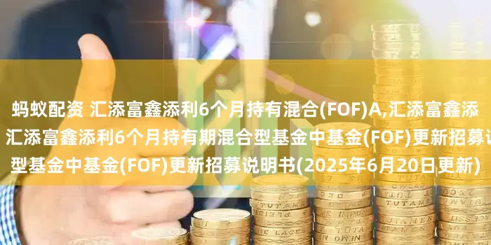 蚂蚁配资 汇添富鑫添利6个月持有混合(FOF)A,汇添富鑫添利6个月持有混合(FOF)C: 汇添富鑫添利6个月持有期混合型基金中基金(FOF)更新招募说明书(2025年6月20日更新)