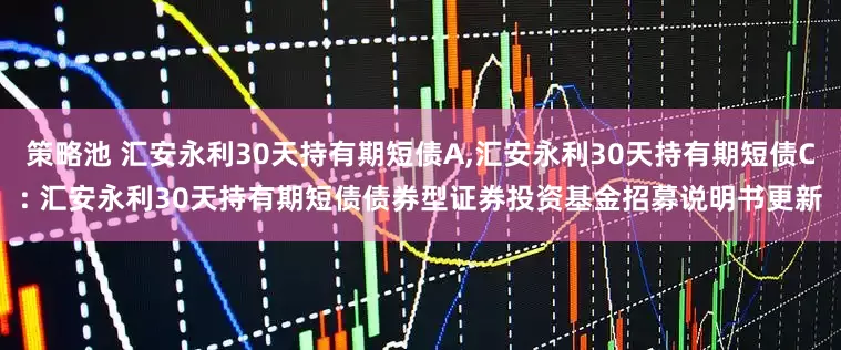 策略池 汇安永利30天持有期短债A,汇安永利30天持有期短债C: 汇安永利30天持有期短债债券型证券投资基金招募说明书更新