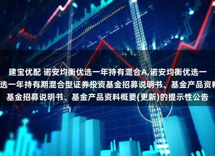 建宝优配 诺安均衡优选一年持有混合A,诺安均衡优选一年持有混合C: 诺安均衡优选一年持有期混合型证券投资基金招募说明书、基金产品资料概要(更新)的提示性公告