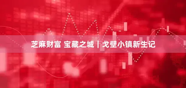 芝麻财富 宝藏之城｜戈壁小镇新生记