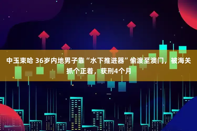 中玉束哈 36岁内地男子靠“水下推进器”偷渡至澳门，被海关抓个正着，获刑4个月